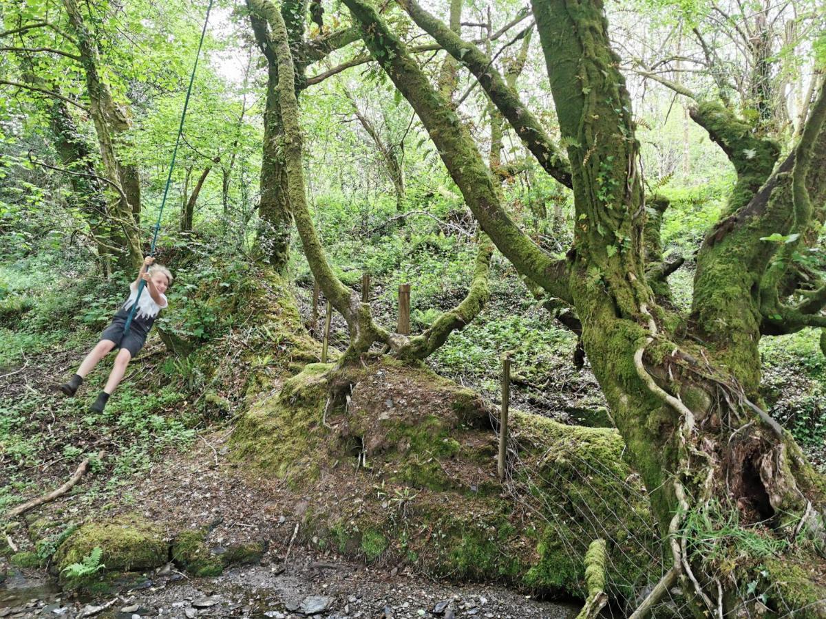 Wellstone Cottages - Jasmine Llanfyrnach Dış mekan fotoğraf