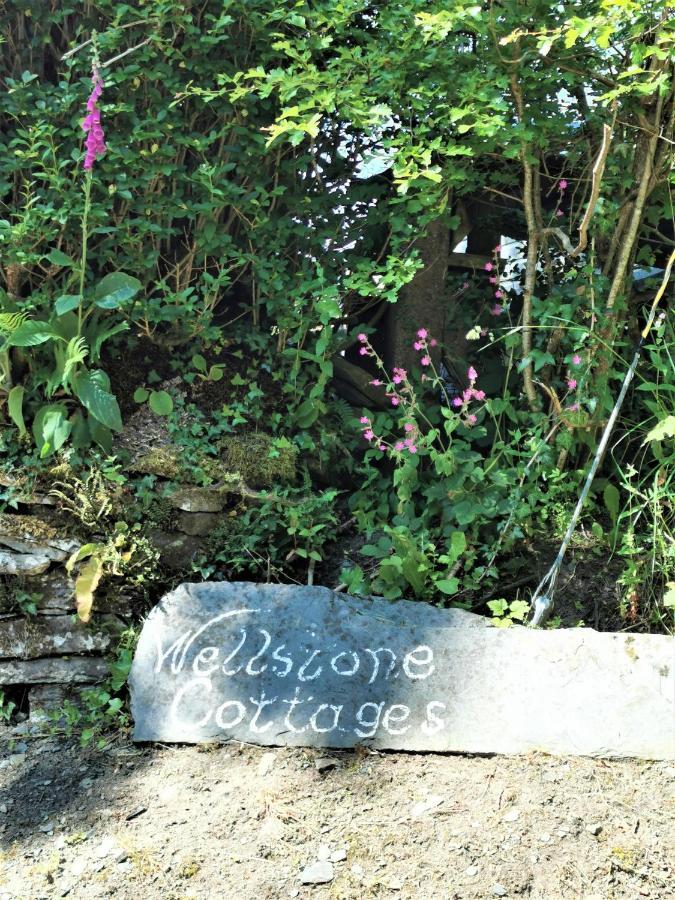 Wellstone Cottages - Jasmine Llanfyrnach Dış mekan fotoğraf