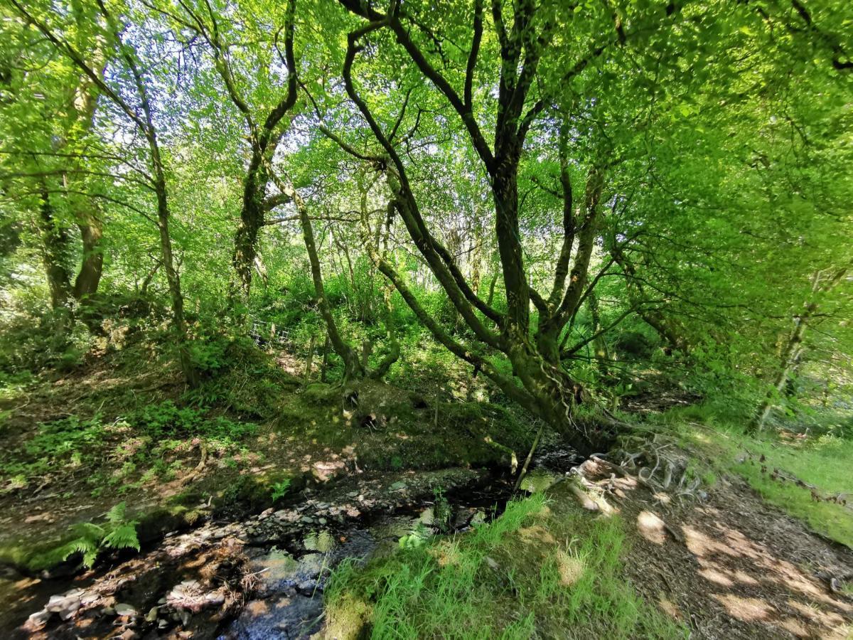Wellstone Cottages - Jasmine Llanfyrnach Dış mekan fotoğraf